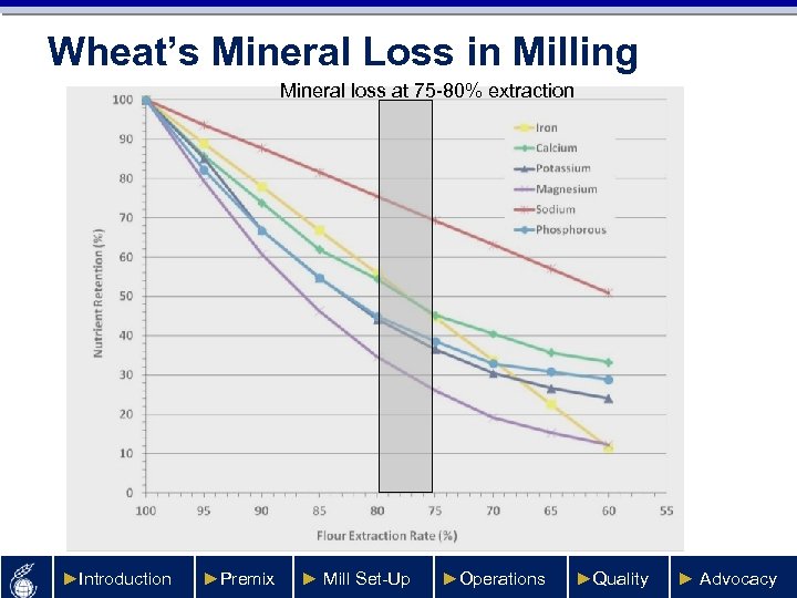 Wheat’s Mineral Loss in Milling Mineral loss at 75 -80% extraction ►Introduction ►Premix ►