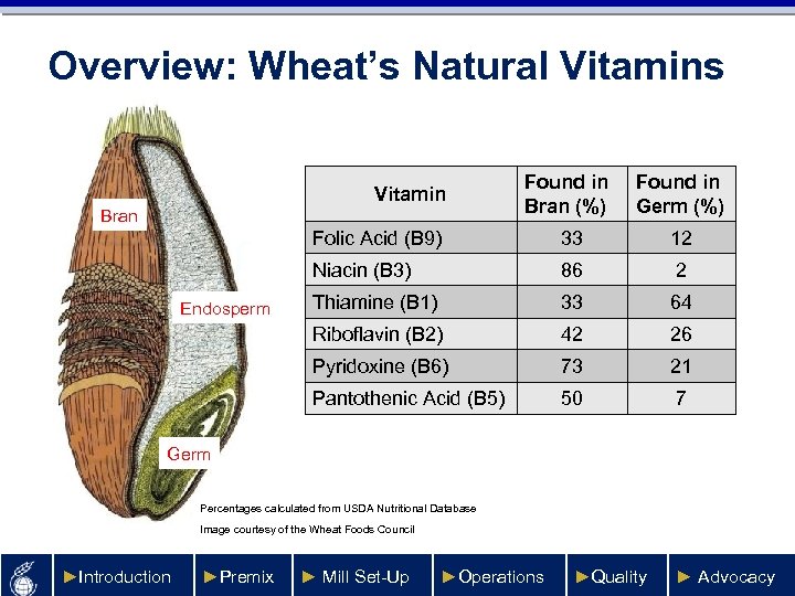 Overview: Wheat’s Natural Vitamins Found in Bran (%) Found in Germ (%) Folic Acid