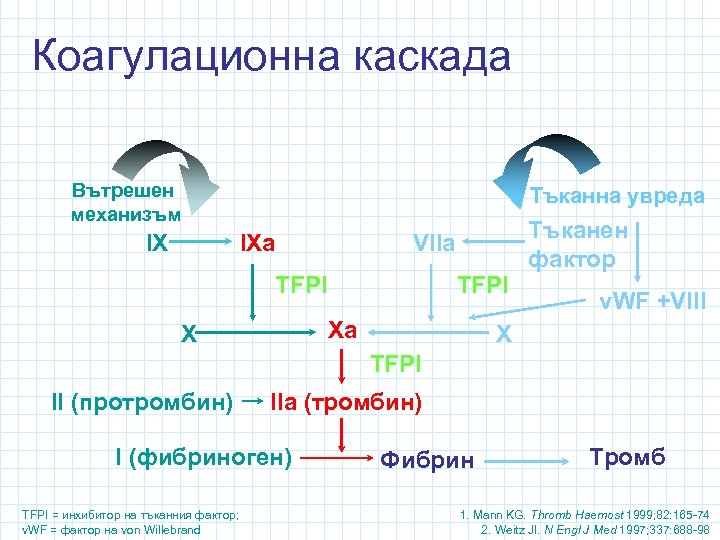 Коагулационна каскада Вътрешен механизъм IX Тъканна увреда VIIa IXa TFPI Xa X Тъканен фактор