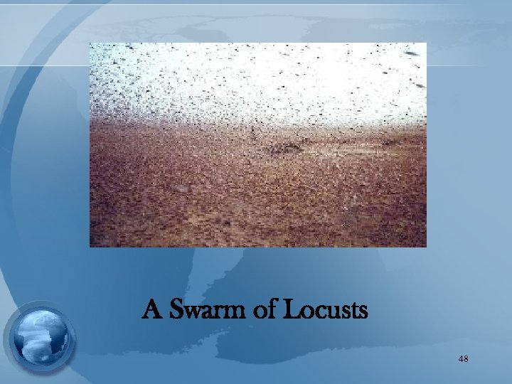 A Swarm of Locusts 48 