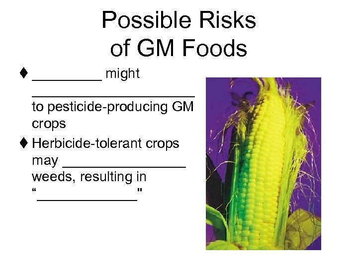 Possible Risks of GM Foods t _____ might ___________ to pesticide-producing GM crops t
