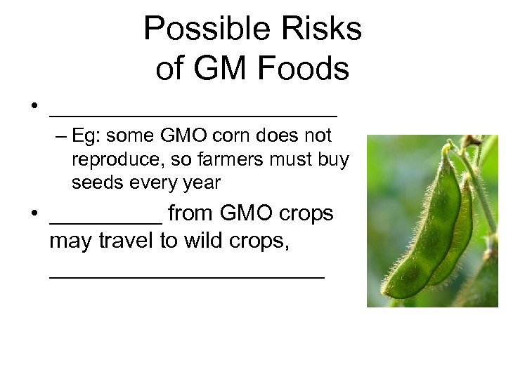 Possible Risks of GM Foods • ____________ – Eg: some GMO corn does not