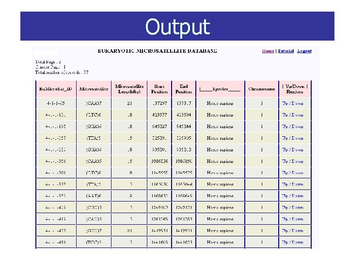 Output 