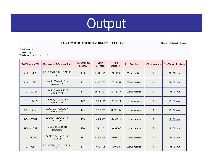 Output 