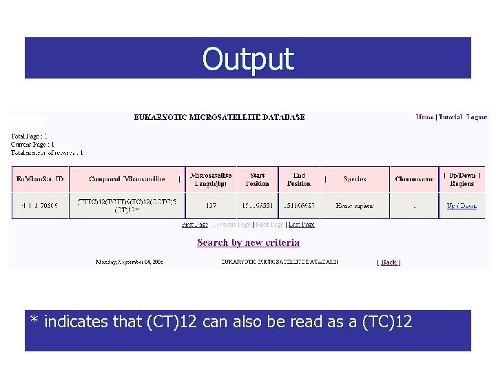 Output * indicates that (CT)12 can also be read as a (TC)12 