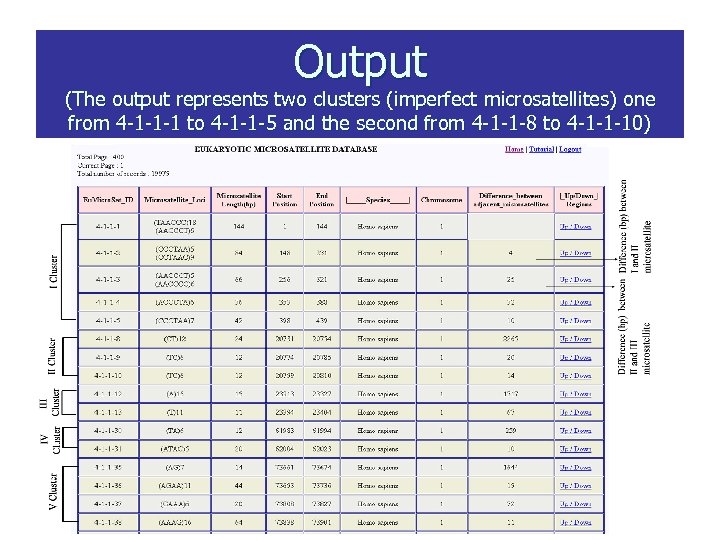 Output (The output represents two clusters (imperfect microsatellites) one from 4 -1 -1 -1