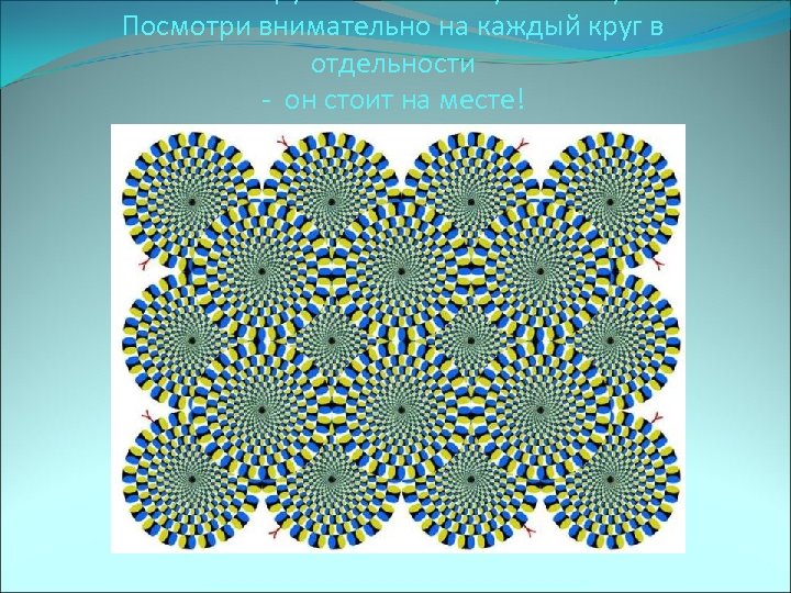 Посмотри внимательно на каждый круг в отдельности - он стоит на месте! 