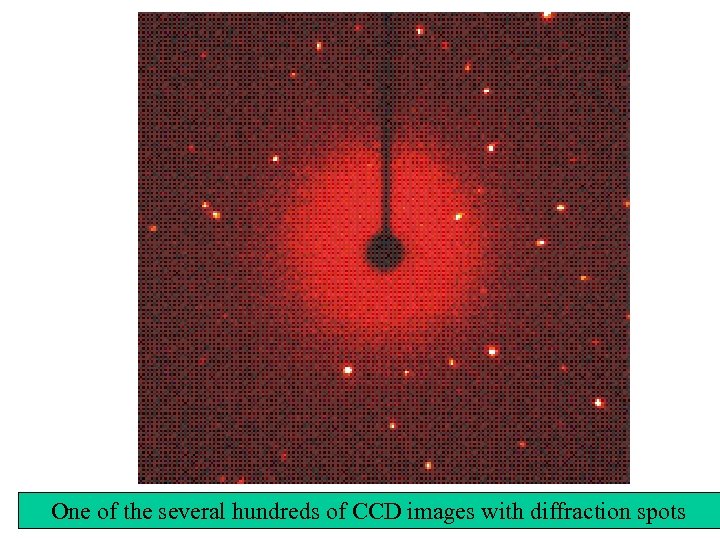 One of the several hundreds of CCD images with diffraction spots 