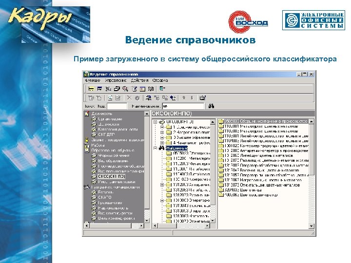 Ведение справочников Пример загруженного в систему общероссийского классификатора 