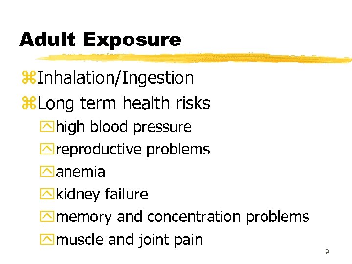 Adult Exposure z. Inhalation/Ingestion z. Long term health risks yhigh blood pressure yreproductive problems