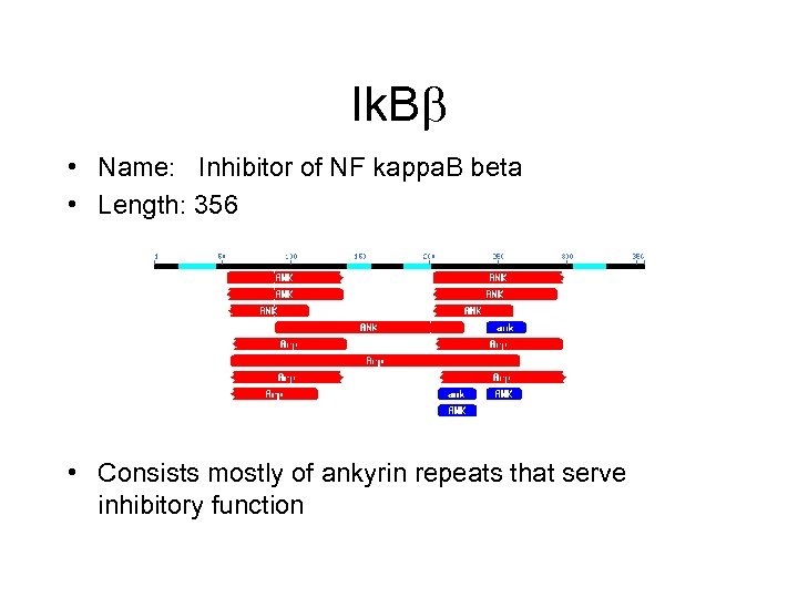 Ik. B • Name: Inhibitor of NF kappa. B beta • Length: 356 •