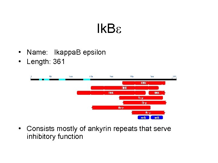 Ik. B • Name: Ikappa. B epsilon • Length: 361 • Consists mostly of