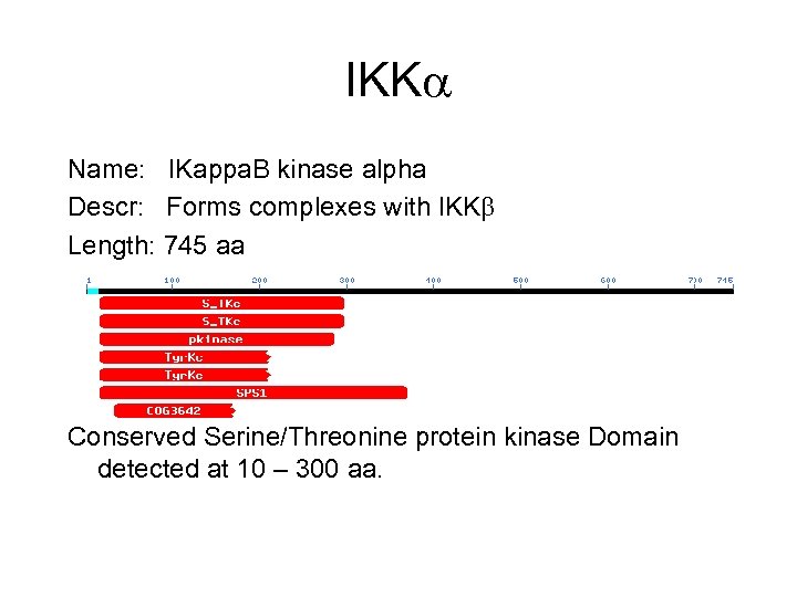 IKK Name: IKappa. B kinase alpha Descr: Forms complexes with IKK Length: 745 aa