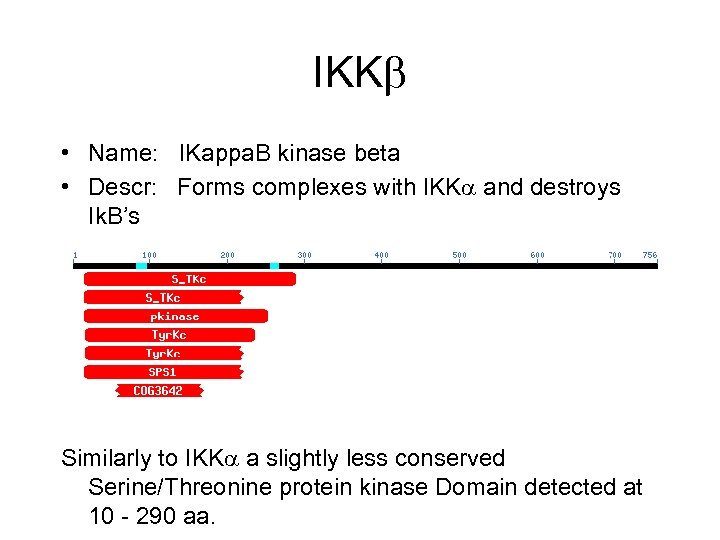 IKK • Name: IKappa. B kinase beta • Descr: Forms complexes with IKK and