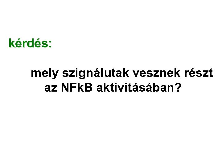 kérdés: mely szignálutak vesznek részt az NFk. B aktivitásában? 