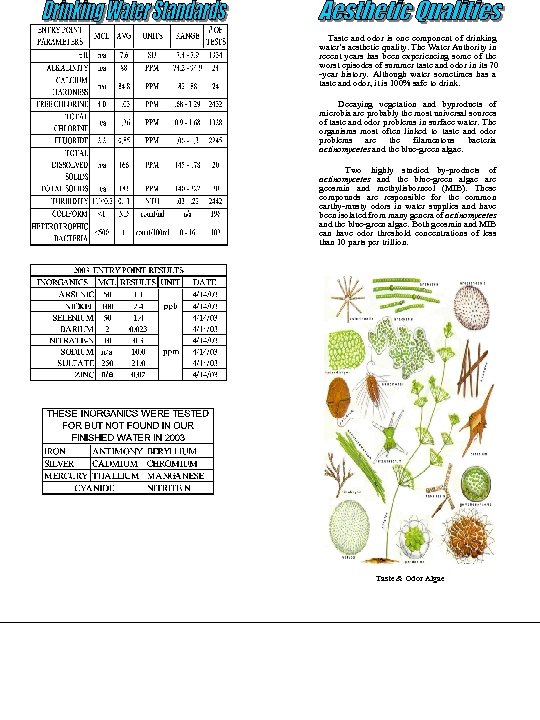 Taste and odor is one component of drinking water’s aesthetic quality. The Water Authority
