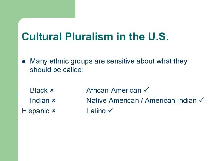 Cultural Pluralism in the U. S. l Many ethnic groups are sensitive about what