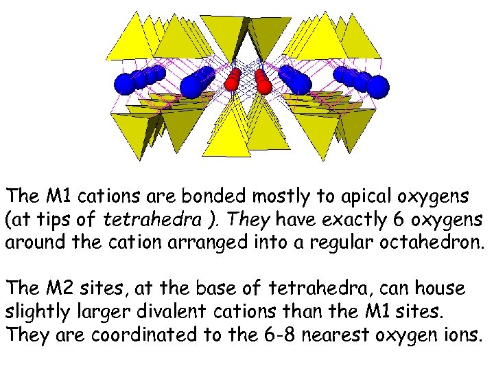 The M 1 cations are bonded mostly to apical oxygens (at tips of tetrahedra