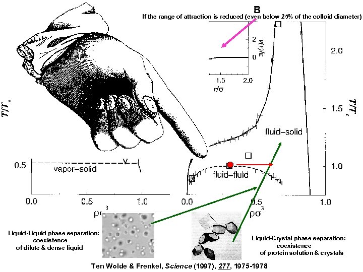 If the range of attraction is reduced (even below 25% of the colloid diameter)