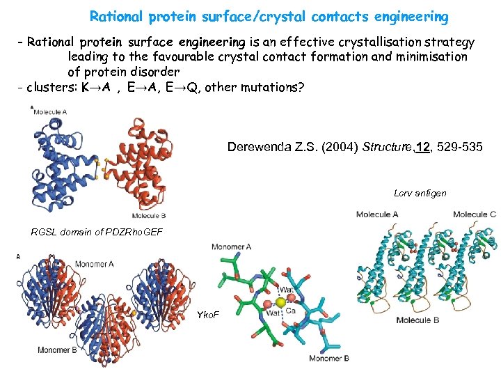 Rational protein surface/crystal contacts engineering - Rational protein surface engineering is an effective crystallisation