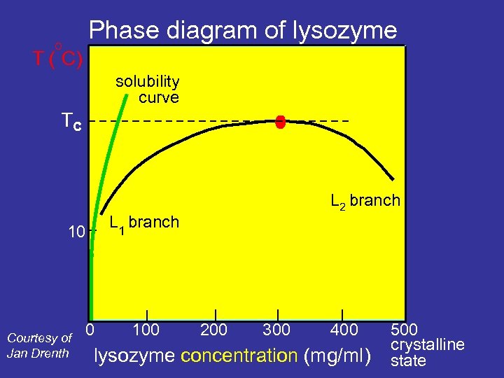 Phase diagram of lysozyme O T ( C) solubility curve Tc L 1 branch