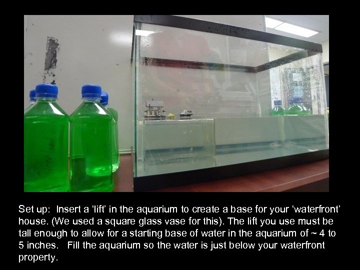 Set up: : Insert a ‘lift’ in the aquarium to create a base for