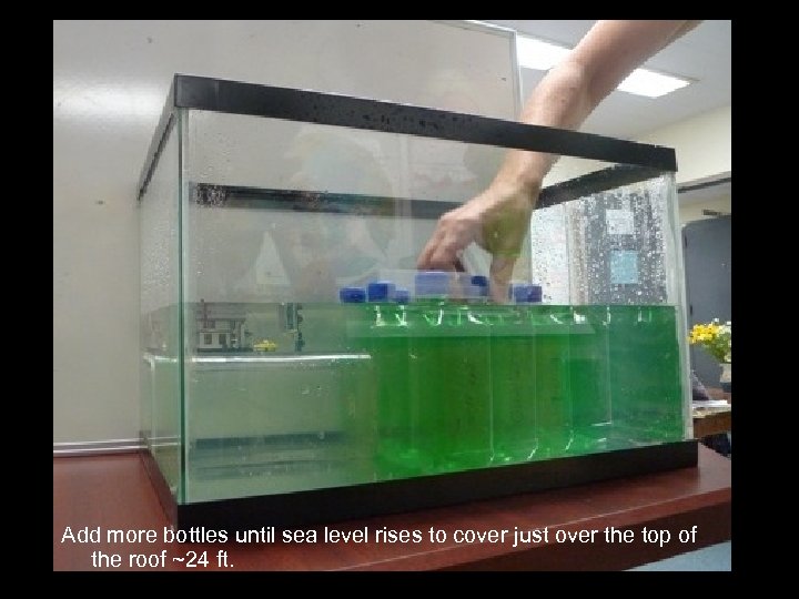 Add more bottles until sea level rises to cover just over the top of