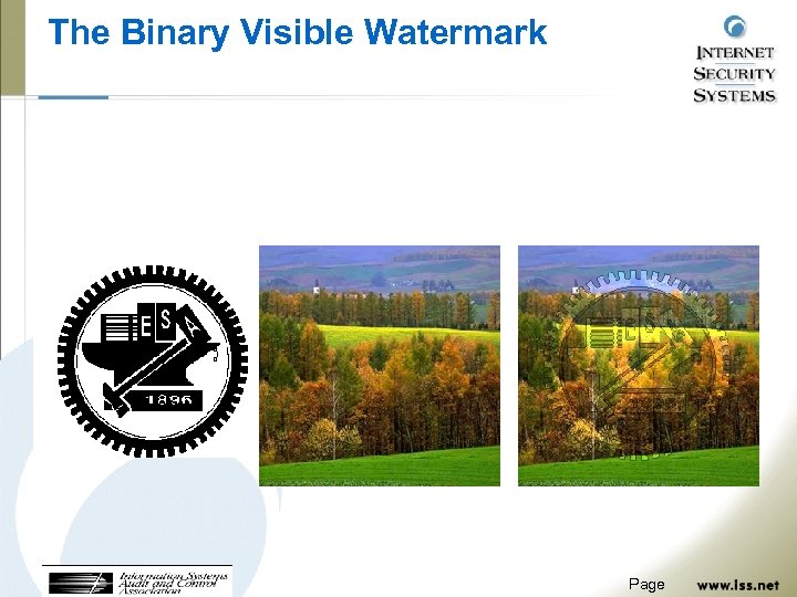The Binary Visible Watermark Page 