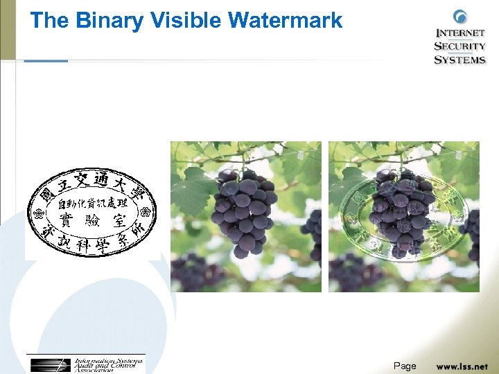 The Binary Visible Watermark Page 