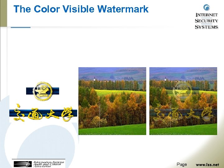 The Color Visible Watermark Page 