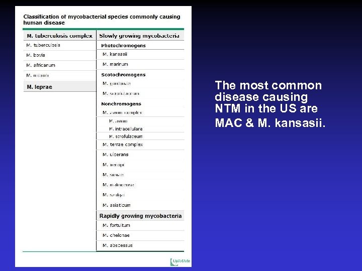The most common disease causing NTM in the US are MAC & M. kansasii.