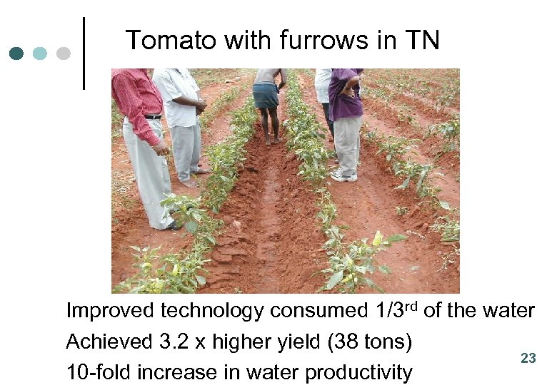 Tomato with furrows in TN Improved technology consumed 1/3 rd of the water Achieved