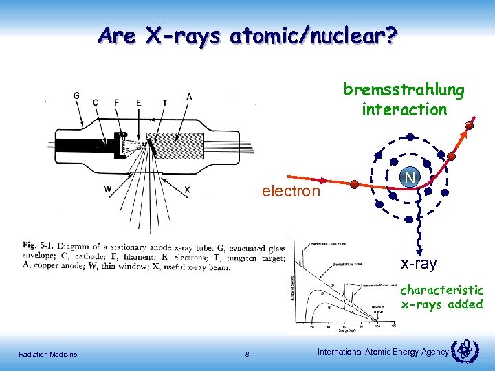 Are X-rays atomic/nuclear? bremsstrahlung interaction electron N x-ray characteristic x-rays added Radiation Medicine 8