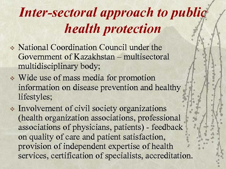 Inter-sectoral approach to public health protection v v v National Coordination Council under the