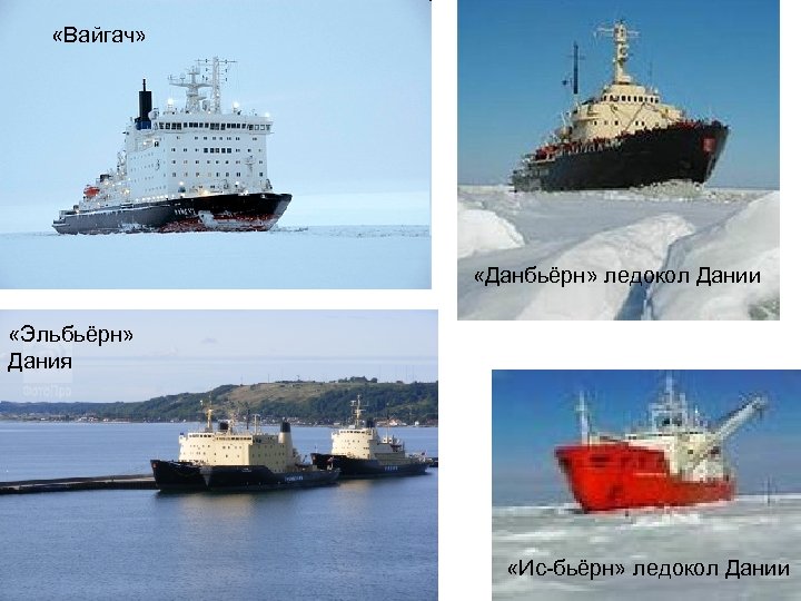  «Вайгач» «Данбьёрн» ледокол Дании «Эльбьёрн» Дания «Ис-бьёрн» ледокол Дании 