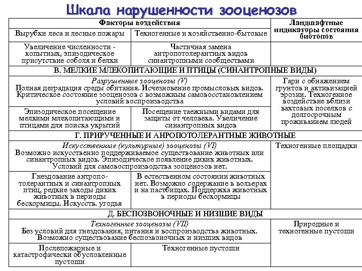 Шкала нарушенности зооценозов Факторы воздействия Ландшафтные индикаторы состояния Вырубки леса и лесные пожары Техногенные
