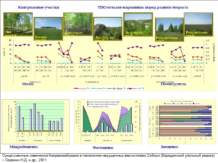 ТПО отвалов вскрышных пород разного возраста Контрольные участки Лес (уч. 10) Залежь (уч. 11)