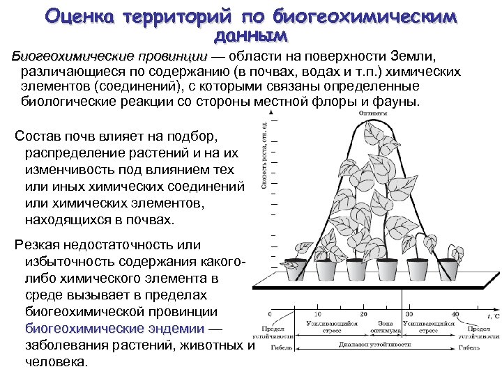 Количественная оценка территории