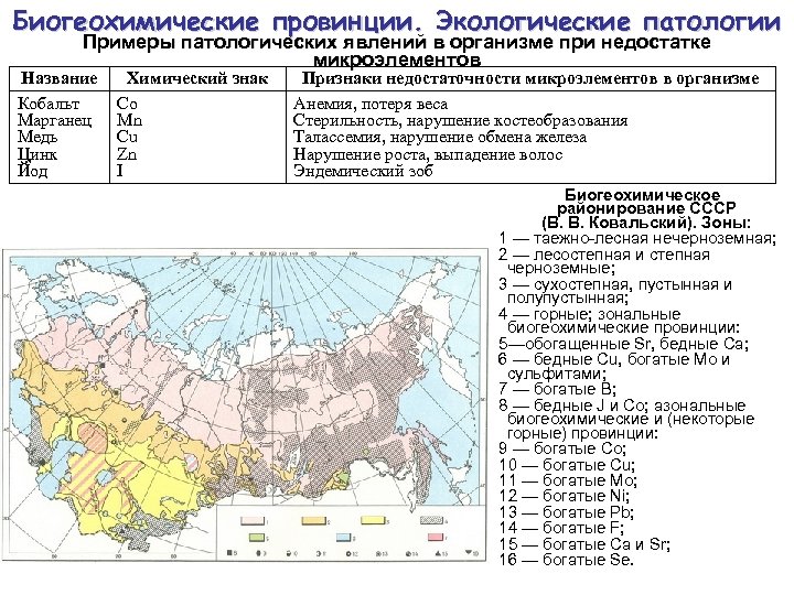 Биогеохимические провинции. Экологические патологии Примеры патологических явлений в организме при недостатке микроэлементов Название Кобальт