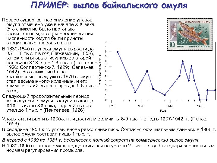 ПРИМЕР: вылов байкальского омуля Первое существенное снижение уловов омуля отмечено уже в начале XIX