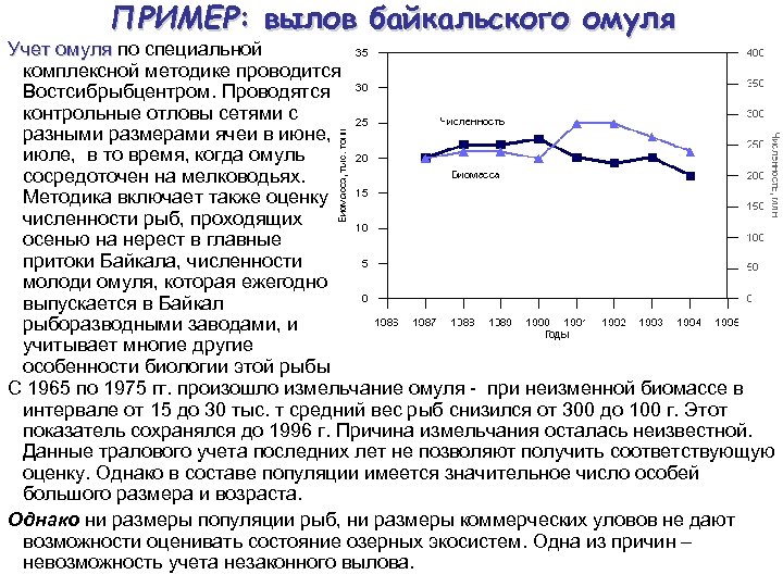 ПРИМЕР: вылов байкальского омуля Учет омуля по специальной Учет омуля комплексной методике проводится Востсибрыбцентром.