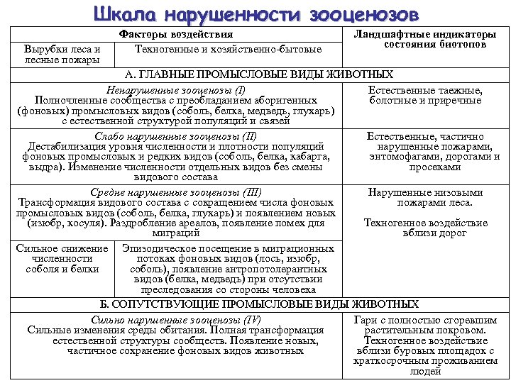 Шкала нарушенности зооценозов Вырубки леса и лесные пожары Факторы воздействия Техногенные и хозяйственно-бытовые Ландшафтные