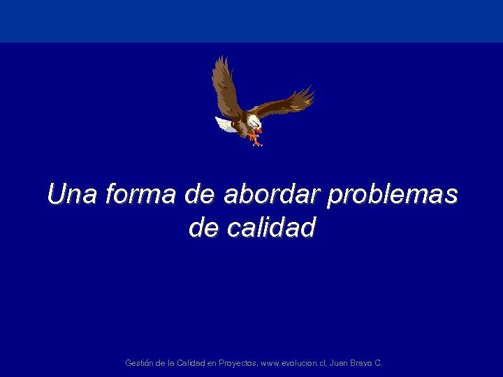 Una forma de abordar problemas de calidad Gestión de la Calidad en Proyectos, www.