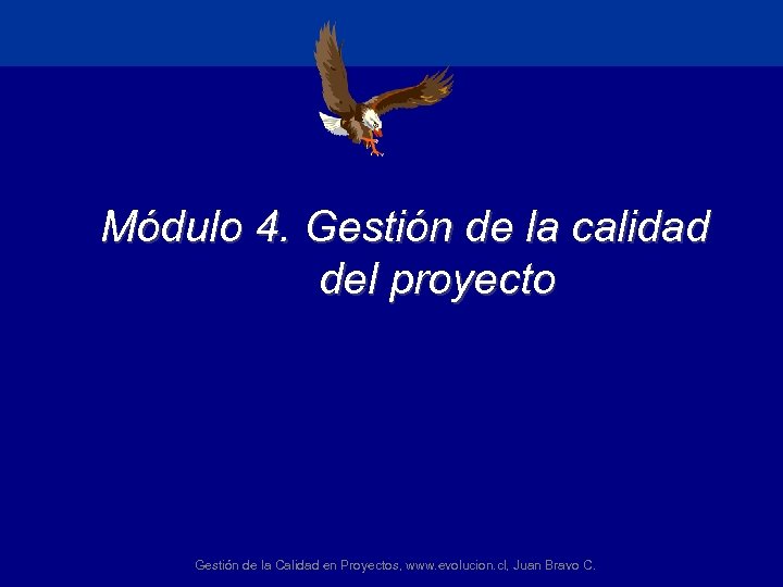 Módulo 4. Gestión de la calidad del proyecto Gestión de la Calidad en Proyectos,