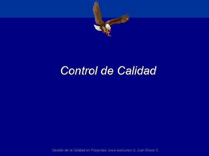 Control de Calidad Gestión de la Calidad en Proyectos, www. evolucion. cl, Juan Bravo