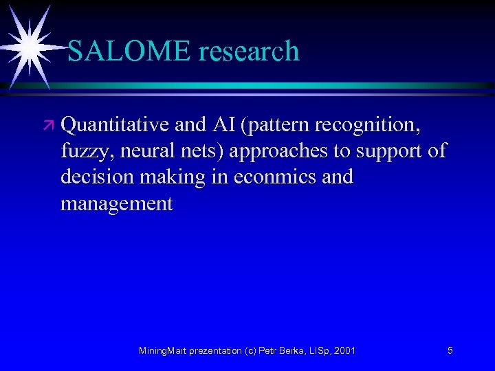 SALOME research ä Quantitative and AI (pattern recognition, fuzzy, neural nets) approaches to support