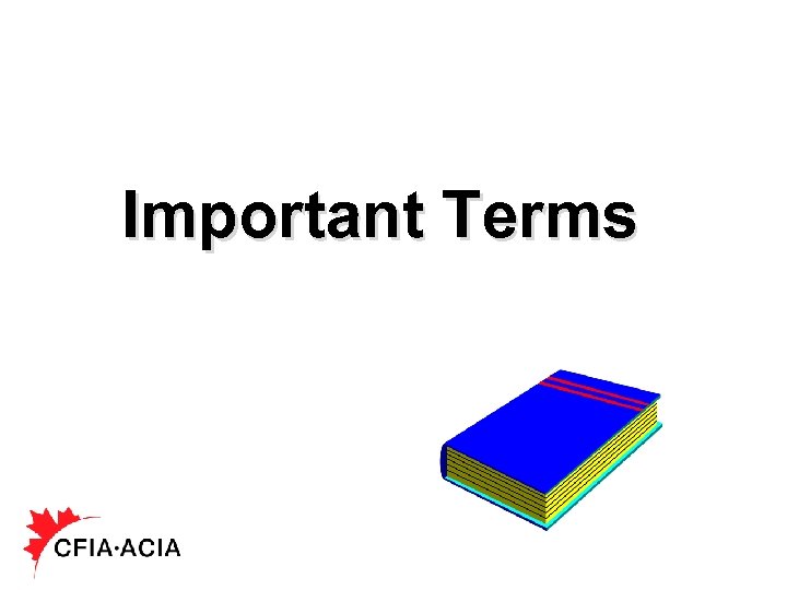 Important Terms 