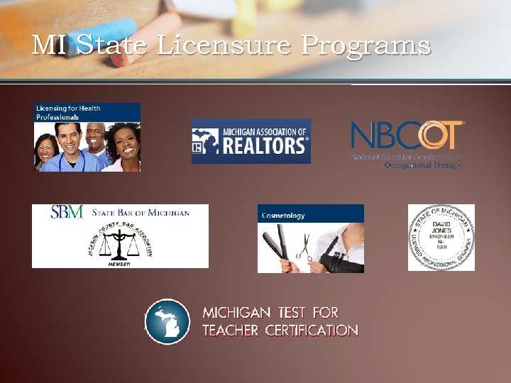 MI State Licensure Programs 