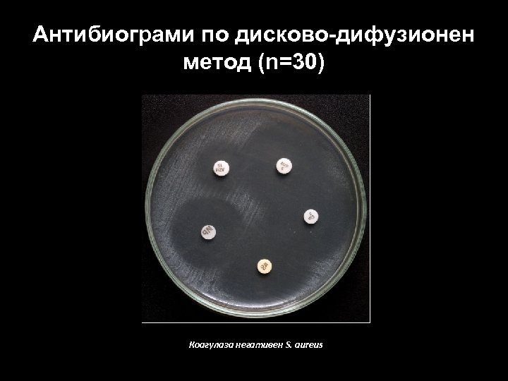 Антибиограми по дисково-дифузионен метод (n=30) Коагулаза негативен S. aureus 