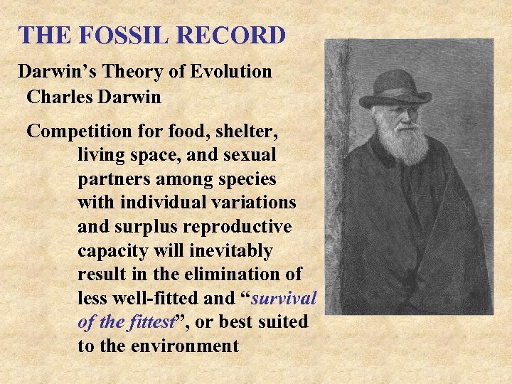 THE FOSSIL RECORD Darwin’s Theory of Evolution Charles Darwin Competition for food, shelter, living